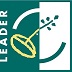 Leader&nbsp;&copy;&nbsp;Leader