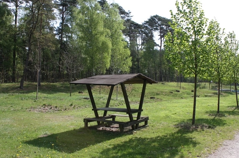 Waldbad Probst Jesar