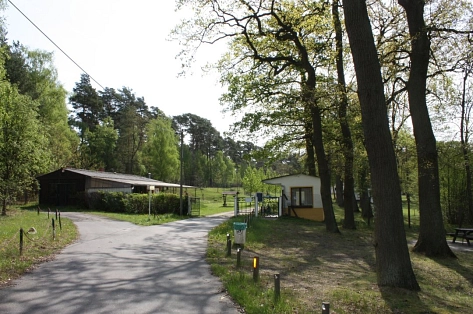Waldbad Probst Jesar
